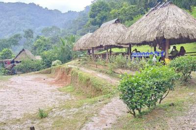 Descubra la comunidad indígena embera en medio de un impresionante entorno natural. comie