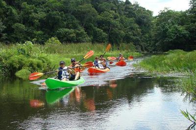  your kayaking adventure will commence in the early morning when your guide meets you in t